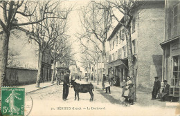 38 - HERIEUX - LE BOULEVARD  - Other & Unclassified