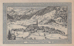 10 HELLER 1920 Stadt Rauris Salzburg Österreich Notgeld Banknote #PE529 - [11] Emissioni Locali