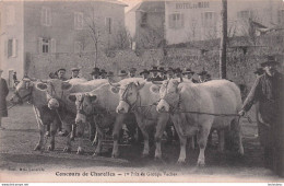 CHAROLLES CONCOURS 1er PRIX DE GROUPE VACHES - Charolles