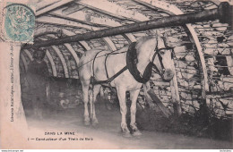 DANS LA MINE CONDUCTEUR D'UN TRAIN DE BOIS - Other & Unclassified