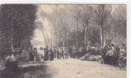 Côte-d'Or - Saint-Julien - La Paye Et Le Mesurage Du Houblon - Autres & Non Classés