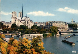 PARIS - Notre-Dame Et Les Jardins De L'Archevêché - Notre Dame Von Paris