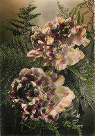 Fleurs - Carte Dentelée - CPSM Grand Format - Carte Neuve - Voir Scans Recto-Verso - Blumen