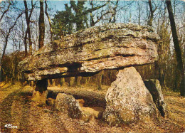 86 - Vienne - Environs De Civray Et De Sauzé-Vaussais - Le Dolmen De La Pierre-Pèse - CPM - Voir Scans Recto-Verso - Other & Unclassified