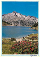 65 - Hautes Pyrénées - La Route Des Lacs - Le Massif Du Néouvielle (3092 M) Et Le Lac D'Aumar (2193 M) - CPM - Voir Scan - Sonstige & Ohne Zuordnung