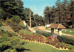 62 - Hardelot - Une Allée Dans Les Pins - Fleurs - CPM - Voir Scans Recto-Verso - Altri & Non Classificati