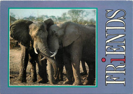 Animaux - Eléphants - African Elephant - Elephants D'Afrique - CPM - Voir Scans Recto-Verso - Elefantes