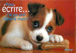 Animaux - Chiens - Race à Définir - Chiots - Carte Humoristique - CPM - Voir Scans Recto-Verso - Chiens