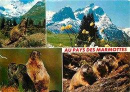 Animaux - Marmottes - CPM - Voir Scans Recto-Verso - Sonstige & Ohne Zuordnung