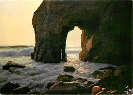 56 - Presqu'Ile De Quiberon - CPM - Voir Scans Recto-Verso - Quiberon