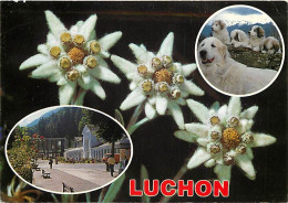 31 - Luchon - CPM - Voir Scans Recto-Verso - Luchon