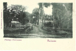 Surinam Plantage Vertrouwen, Très Rare - Suriname