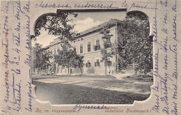 Hungary - SZARVAS - Ág. Ev. Fögymnasium - Ungheria