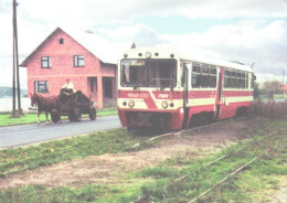 Train, Railway, Motor Wagon MBxd 2-223 - Eisenbahnen