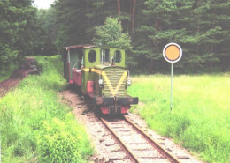 Train, Railway, Locomotive Wls 40-1189 - Trains