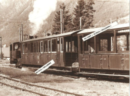 74 - CHAMONIX - Dernier Train Spécial à Vapeur En Gare Du Montenvers à Chamonix Le 20.09.1981 - Gde Photo 17,5 X 24 Cm - Places