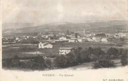 Fleurie * Vue Générale Sur Le Village - Other & Unclassified
