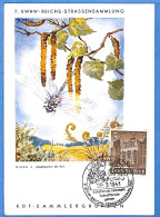 Allemagne Reich 1941 - Carte Postale De Linz - G33182 - Briefe U. Dokumente