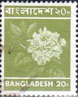 Bangladesh Poste Obl Yv: 31 Mi:26 Rakta Jaba (Obli. Ordinaire) - Bangladesch
