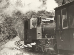 74 - CHAMONIX - Dernier Train Spécial à Vapeur Sortie Amont Galerie Des Planards Le 20.09.1981- Gde Photo 17,5 X 24 Cm - Lieux