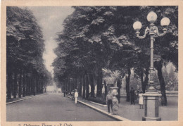 Cartolina San Pellegrino Terme ( Bergamo ) Il Viale - Bergamo