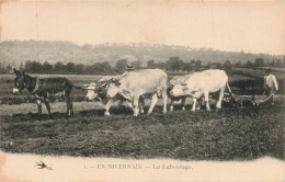 58 - EN NIVERNAIS _S28760_ Le Labourage - Agriculture - Andere & Zonder Classificatie