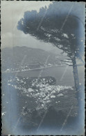 Cs428 Cartolina Fotografica Portofino Vetta Provincia Di Genova 1933 - Genova