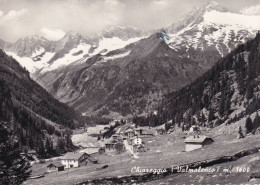 Cartolina Chiareggio ( Sondrio ) Valmalenco - Sondrio