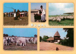 72846966 Bugac Esel Schaf Pferd Bugac - Hongrie