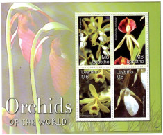 Lesotho - 2007 Flowers - Orchids .S/S  MNH** - Lesotho (1966-...)