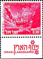 Israel Poste N** Yv: 463 Mi:529x En Avedat (Tabs) - Unused Stamps (with Tabs)