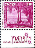 Israel Poste N** Yv: 461 Mi:527x Kinneret (Tabs) - Unused Stamps (with Tabs)