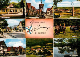 72846530 Springe Deister Wisente Mariabrunnen Markt Jadgschloss Springe - Andere & Zonder Classificatie