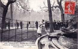 75 - PARIS 05 - Jardin Des Plantes - Otarie De Californie - Distrito: 05