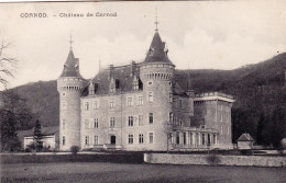 39 - Jura -   CORNOD - Chateau De Cornod - Andere & Zonder Classificatie