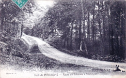 72 - Sarthe - Foret De PERSEIGNE - Route De Villaines A Neuchatel - Other & Unclassified