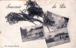 77 - Seine Et Marne -  LE PIN -  Souvenir - Other & Unclassified