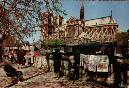 PARIS -  Notre Dame - Notre Dame Von Paris