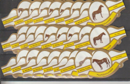 Reeks  2305  Paarden Rassen   1-24  ,24 Stuks Compleet   , Sigarenbanden Vitolas , Etiquette - Vitolas (Anillas De Puros)