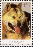 Antarctique Aust Poste N** Yv: 98/101 Attelages De Chiens De Traineaux - Unused Stamps