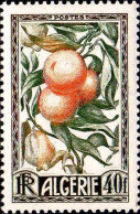 Algérie Poste N** Yv:281 Mi:292 Oranges - Unused Stamps