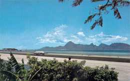 Polynésie Française L'aérodrome De TAHITI Avion Plane Airport - :photo SOUNAM C11982 *PRIX  FIXE - Polynésie Française