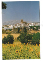 Alhama De Granada - Granada