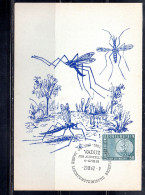 LIECHTENSTEIN 1962 MALARIA ERADICATION PALUDISME WHO DRIVE TO ERADICATE OMS 50c MAXI MAXIMUM CARD CARTE - Maximum Cards