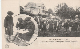 COLONIE SCOLAIRE DE CREPEY JEUNES GARCONS CAISSE DES ECOLES LAIQUES DE DIJON TBE - Other & Unclassified