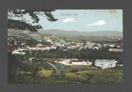 HRONOV  Old Postcard  1919 - Tchéquie