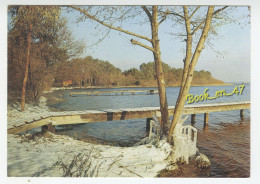 {92010} 40 Landes , Bords Du Lac De Biscarrosse , Janvier 1985 - Biscarrosse