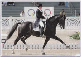 Horse - Cheval - Paard - Pferd - Cavallo - Cavalo - Caballo - Häst - Dressage - Kyra Kyrklund - Matador II DWB - Paarden