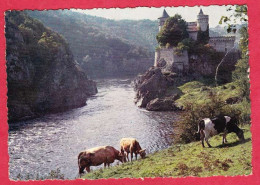 AC999 42 LOIRE LES GORGES DE LA LOIRE CHATEAU DE LA ROCHE PRES ROANNE  ANIMAUX VACHES  - - Roanne