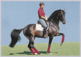 Horse - Cheval - Paard - Pferd - Cavallo - Cavalo - Caballo - Häst - Dressage - Kyra Kyrklund - Master 850 SWB - Cavalli